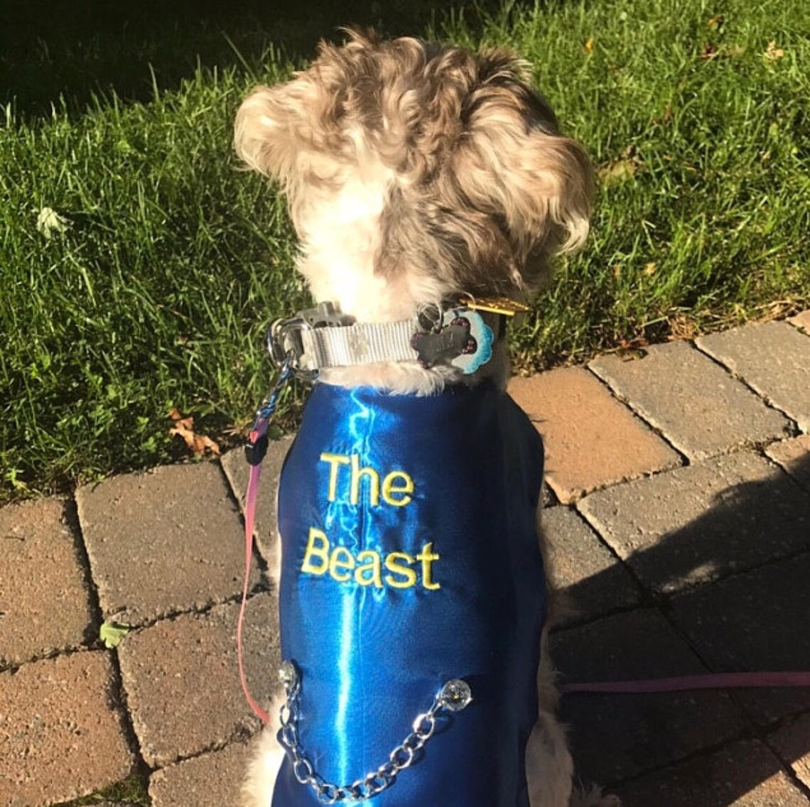 Beast Halloween Dog Costume the Beast Dog Costume Inspired by Etsy