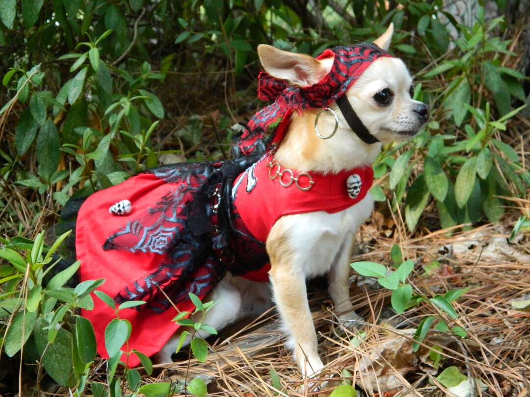 My Little Pirate Halloween Dog Costume Dress Pirate Dog Etsy