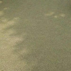 May include: A close-up shot of a textured, olive-green carpet. The carpet has a short pile and a consistent color throughout. The lighting creates subtle shadows and highlights, adding depth to the surface.