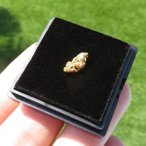 May include: A small, naturally shaped gold nugget with a textured, metallic surface. The nugget is displayed centred on a square, black velvet-lined display case with a black plastic frame, providing a high-contrast setting for the gold piece.