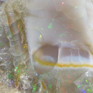 Può includere: Primo piano di una gemma di opale lucidata. L'opale mostra un colore di base bianco latte con lampi iridescenti di verde, rosso e giallo. La pietra ha un aspetto a strati con una fascia gialla e marrone.