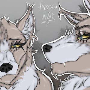 May include: A digital illustration featuring two views of a wolf character with light brown and white fur. The wolf has yellow eyes with dark eyeliner, a black nose, and a single visible tooth. The text 'tirrana wolf' is written in the upper center.