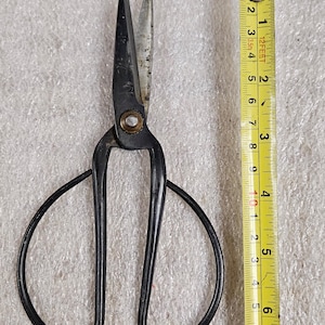 May include: Black metal scissors with curved handles and sharp blades. A yellow measuring tape shows the scissors are approximately 7 inches long. The scissors have a gold-colored pivot point.