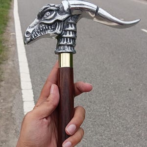May include: A decorative walking cane with a dragon head handle. The handle is silver-colored with a detailed dragon head design. The shaft is dark brown with a brass collar. The cane is held against a blurred background of a road.