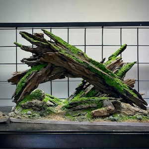 Aquascape Driftwood Hardscape for Aquarium, Terrarium & Vivarium | Natural Wood Rock Layout | Aquarium Safe