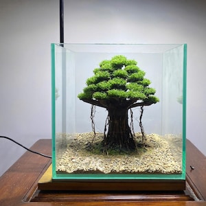 Aquarium Bonsai Driftwood | Handmade Natural Wood for Aquascaping, Terrarium & Vivarium Decor