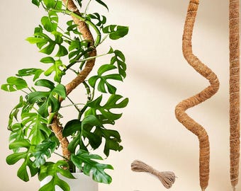 Bendable Coco Coir Moss Pole for Climbing Plants, Monstera Pothos Support