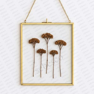 8x10 inch Glass Frame for Pressed Flowers | Glass Picture Frame, Brass Photo Frame for Wall Hanging, Floating Glass Frame with Brass Borders
