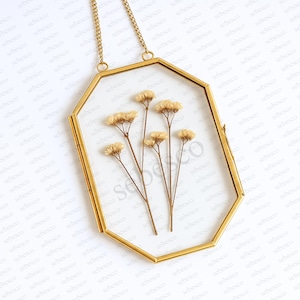 Octagonal Glass Frame for Pressed & Dried Flowers | Glass Frame with Gold Brass Borders, Floating Double Glass Wall Hanging Picture Frame