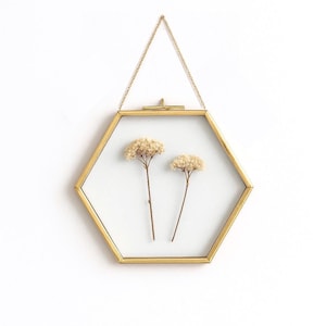 Hexagon Glass Frame for Pressed & Dried Flowers | Floating Double Glass Hanging Photo Frame | Glass Frame with Brass Gold Border Wall Decor
