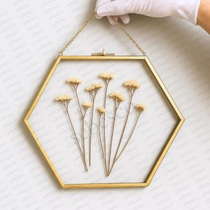 8.75x8 inch Hexagonal Glass Frame for Pressed & Dried Flowers | Floating Double Glass Hanging Photo Frame with Brass Gold Border, Wall Decor