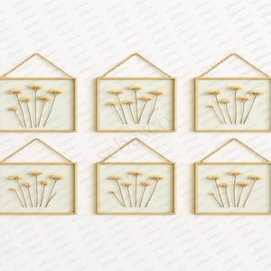 Juego de 6 marcos de vidrio de 5 x 7 pulgadas / Marcos flotantes de latón dorado para flores prensadas y fotos / Juego de marcos de pared para galería