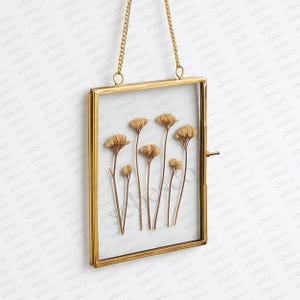 4x6 inch Floating Glass Frame with Brass Gold Border for Pressed Flowers, Glass Brass Photo Frame, Vertical Wall Hanging Photo Picture Frame