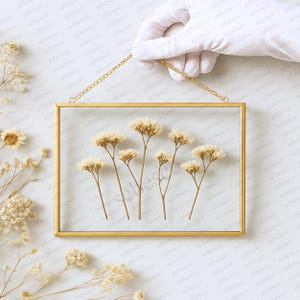 Pressed Flowers Floating Glass Frame Wedding Photo Display Family Portrait Botanical Art Wall Decor Memorial Gift Brass Gold Border Frame