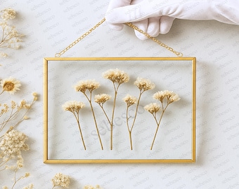 FINDYUN Cadre Photo Bricolage De Fleurs Séchées, Cadre Photo Flottant Cadre Photo Stéréoscopique For Spécimen Creux, Verre Transparent Double Face, Ornements De Bureau, Décoration D'intérieur