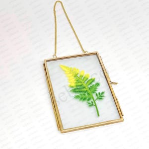 4x6 inch Floating Glass Frame with Brass Gold Border for Pressed Flowers, Glass Brass Photo Frame, Vertical Wall Hanging Photo Picture Frame