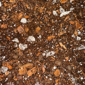 Aroid Soil-less mix (Extra Chunky Blend) - Tidal Tropicals special blend! (US SELLER) 1/2 lb