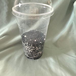 Tissue Culture Acclimation kit