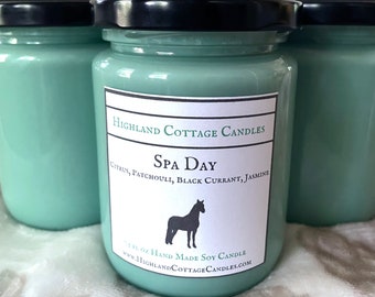 Spa Day Candle / Clean and Fresh Scent Soy Candle