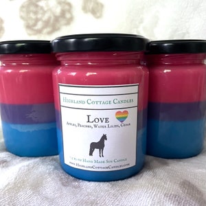 Love Candle /Bisexual Pride Candle / Pride Candle
