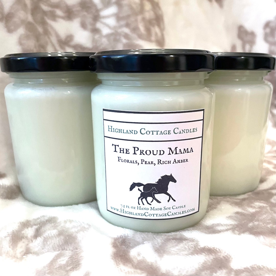 Proud Mama Horse Soy Candle - Etsy