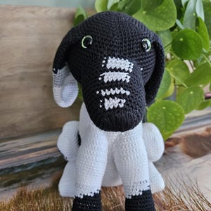 Op de afbeelding: Een handgemaakt gehaakt hondenspeeltje in zwart en wit. De hond heeft een zwarte kop met witte markeringen op de snuit en oren. Het lichaam is wit met zwarte poten. De ogen zijn groen. Het speelgoed staat voor een houten oppervlak.