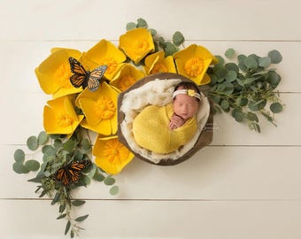 Newborn Digital Backdrop "It's a Sunshine Thing"- Newborn Prop for girl - DIGITAL DOWNLOAD