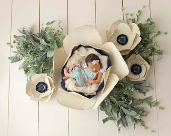 Digital Backdrop for Girl- "Anemone, you wild thing!"- Newborn Photography Prop- DIGITAL DOWNLOAD