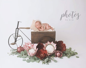 Newborn Digital Backdrop-"The Flower Cart"- Newborn Photography Prop - DIGITAL DOWNLOAD