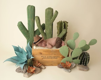 Digital Backdrop- "Song of the Desert"- Newborn Prop - Cowboy Cactus - DIGITAL DOWNLOAD