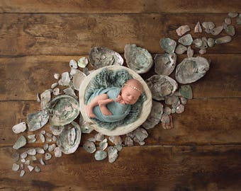 Digital Backdrop for Newborn Photography- "Colors of the Sea"- Mermaid - Sea Shell- DIGITAL DOWNLOAD