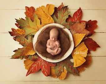 Fall Newborn Digital Backdrop-"Autumn Leaves on White"- Newborn Photo Prop- Boy or Girl- DIGITAL DOWNLOAD