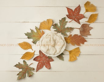 Newborn Digital Backdrop-"Cascading Autumn Leaves"- Newborn Photo Prop- Boy or Girl- DIGITAL DOWNLOAD