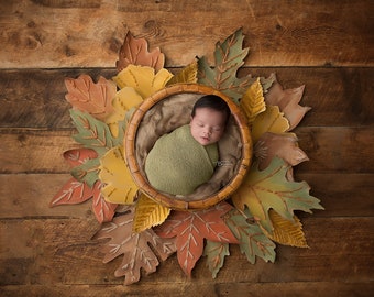 Fall Newborn Digital Backdrop-"Autumn Leaves"- Newborn Photo Prop- Boy or Girl- DIGITAL DOWNLOAD