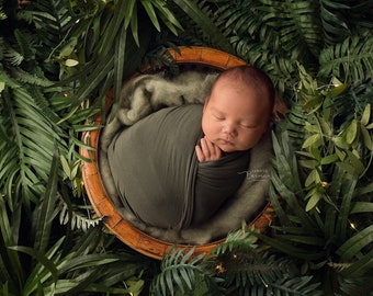 Jungle Digital Backdrop -"Jungle"-Newborn Photo Prop- Digital Background- Download