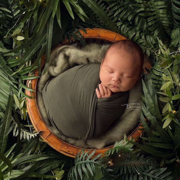 Jungle Digital Backdrop -"Jungle"-Newborn Photo Prop- Digital Background- Download