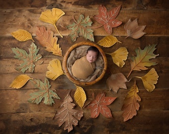 Autumn Newborn Digital Backdrop-"Falling Leaves"- Newborn Photo Prop- Boy or Girl- DIGITAL DOWNLOAD