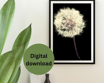 May include: A framed print featuring a close-up of a dandelion seed head against a black background. The dandelion is white and fluffy, with a dark purple stem. The frame is black. Text on a green circle says "Digital download".