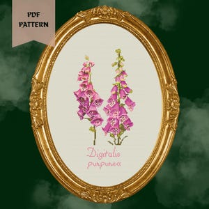 Könnte beinhalten: Kreuzstichmuster von zwei rosa Fingerhüten in einem verzierten, ovalen Goldrahmen. Der Text "Digitalis purpurea" befindet sich unter den Blumen. Die Worte "PDF PATTERN" stehen in einem Banner oben links.