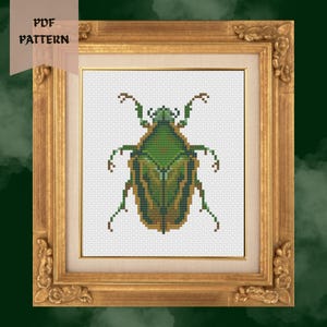 May include: A framed cross-stitch pattern of a green and brown beetle. The artwork is in a gold ornate frame with the text "PDF PATTERN" in the upper left corner. The background is white.