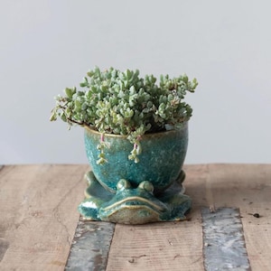 Frog Planter