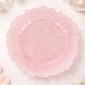 Pack Of 6 | Blush Wedding Charger Plates - Baby Shower Plates - Dinner Table Settings