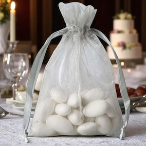 Set Of 10 |  Silver Gift Bags, Sheer Favor Bags with Organza Drawstring Bags