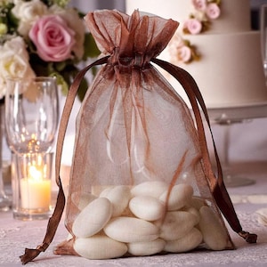 Set Of 10 |  Chocolate Gift Bags, Sheer Favor Bags with Organza Drawstring Bags