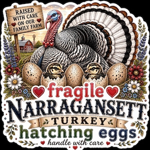 May include: A sticker featuring a Narragansett turkey, two chicks hatching from speckled eggs, and a wooden sign reading RAISED WITH CARE ON OUR FAMILY FARM. Text reads fragile NARRAGANSETT TURKEY hatching eggs handle with care with red hearts.