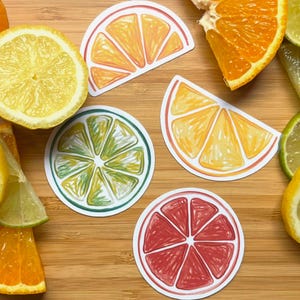 Paquete de pegatinas de vinilo mate de cítricos, pegatinas bonitas para portátil, pegatinas de vinilo, pegatinas para portátil, pegatinas bonitas, pegatinas de frutas, pegatinas ilustradas
