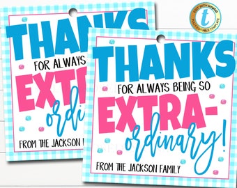 May include: Two blue and white gingham gift tags with the text "Thanks for always being so extra-ordinary!" and "Thanks for always extra-ordinary!"  The tags are decorated with pink and blue glitter and rhinestones. The text is in blue and pink.