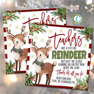 May include: Two Christmas-themed gift tags with a reindeer illustration. The tags have a red and white striped border and feature the text "Teachers are a lot like Reindeer" and "Merry Christmas".
