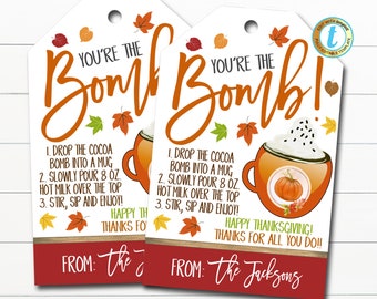 Fall Hot Cocoa Bomb Gift Tags, Hot Chocolate Recipe Tag, Cozy Fall Autumn Teacher Staff Employee Thank You Treat Tag, DIY Editable Template