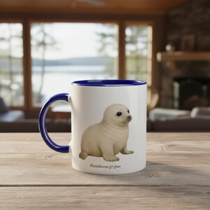 May include: A white ceramic mug with a dark blue handle and interior rim. The exterior features a detailed illustration of a light-coloured seal pup sitting down, with the scientific name Halichoerus grypus printed in black text below the animal.